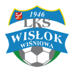 Wisłok Wiśniowa