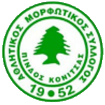 Pindos Konitsas FC