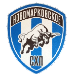 FC Novomarkovskoe