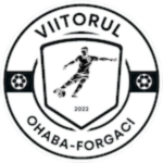 AS Viitorul Ohaba Forgaci