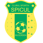 CS Spicul Bucerdea