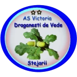 AS Victoria Draganesti De Vede