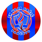 FK Voja Gačić Pančevo