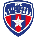 FC Viitorul Sălcioara