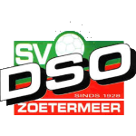 DSO 1