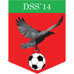 DSS'14 1